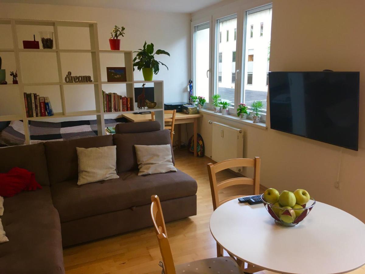 Cosy Studio Andy With Great Location 卢布尔雅那 外观 照片